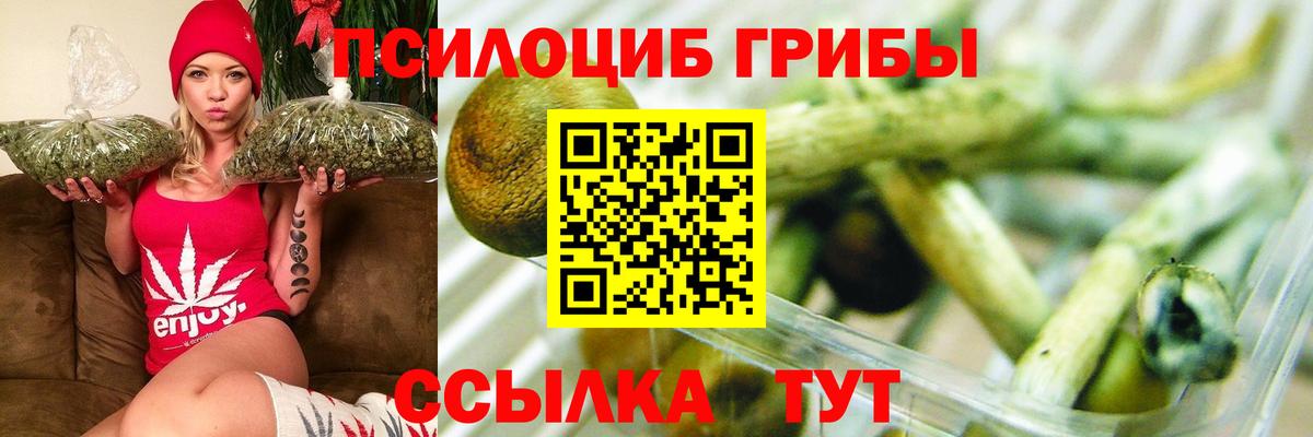 Сызрань  Галлюциногенные грибы GOLDEN TEACHER  Вход с VPN 